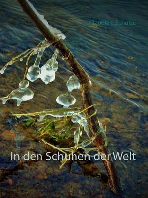 cover image of In den Schuhen der Welt